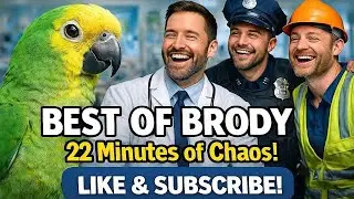 &ldquo;BEST OF BRODY &ndash; 22 Minutes of Chaos!&rdquo;
