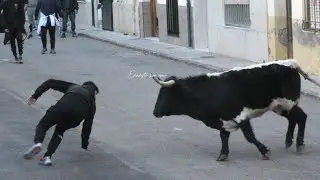 Betxi , Almenara ..Resumen de los Directos. 23 Enero 2026