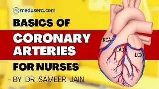 Coronary Arteries for #nurses #nursingstudent #nursingofficer #norcet #bscnursing Part 3- Cardiology