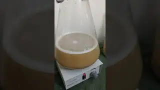 4th Generation German Ale Starter