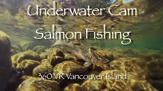 Underwater Camera Salmon Fishing 360 VR Campbell River BC Edward Homer You Tube VR