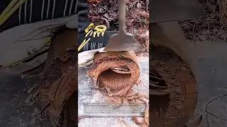 Industrial Maintenance &ndash; Clearing Stator for Coil Replacement!