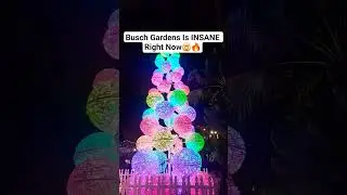 Glow Into the Holidays #buschgardens #lights #2026 #youtubeshorts #shorts #festival #holiday