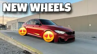 Best Wheels For A BMW F80 M3 !?