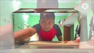 After work anda curry 🍛 fast cooking 🧑&zwj;🍳 #kapoorchandkumhar #viral #trending