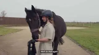 Dynamic Lameness Assessment