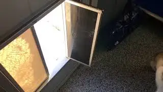 Biteguard KennelPlex - Panel problem