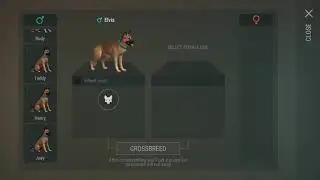 Ldoe dog breeding fail