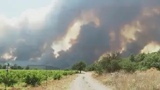 Greek Wildfires Brought Under Control