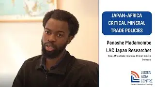 Japan-Africa Critical Mineral Trade Policies - Panashe Madamombe