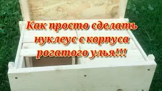 Как просто сделать НУКЛЕУС для вывода маток с корпуса рогатого улья!!!