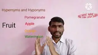 Hypernym and Hyponym // Difference between Hypernym and Hyponym