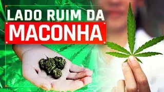 LADO BOM E LADO RUIM DO USO DA MACONHA