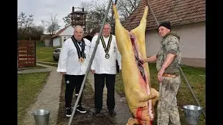 Hagyományőrző disznóvágás