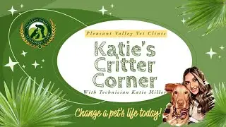 Change a Pet’s life today! 