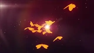 Butterfly Logo Reveal After Effects Templates