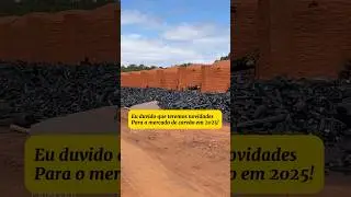 As novidades em carv&atilde;o para 2025 #carvao #agro #florestas