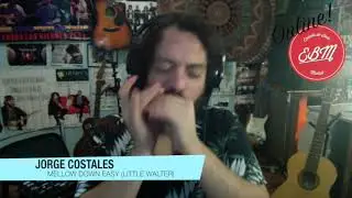 Clases de arm&oacute;nica Online ( Espa&ntilde;ol-English) Blues Harp Lessons Online