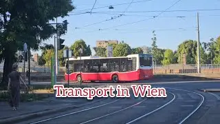 Transport in Wien | Vehicles  #wienerlinien #wien #transport