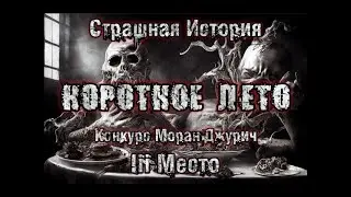 Bedtime Story  A Short Summer  3rd Place  Moran Djuric Competition  Stories from Life