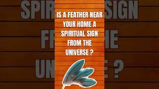 Spiritual Meaning of Finding a Feather Near Home ✨
