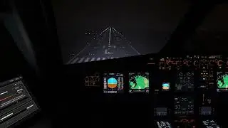 A320N Stockholm-Arlanda(ESSA) Airport Heavy Weather landing