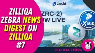 Zilliqa Zebra's News Digest on Zilliqa #7 -- (3 Aug 2021)