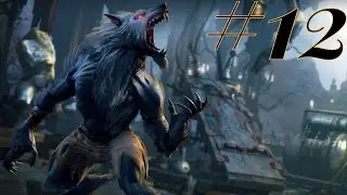 JACKAL plays Killer Instinct: Sabrewulf ranked 12
