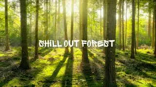 Shill Out Forest - Midgrou