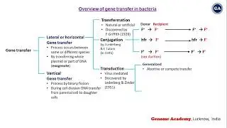 Overview of Gene Transfer in Bacteria | Conjugation | Transformation | Transduction | CISR | NEET