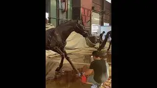 With the dynamic music, it feels like my sculpture horse is coming to life and running! #sculptures