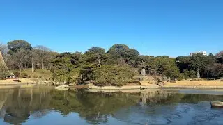 Quiet Walk Through Rikugien Garden, Tokyo 🇯🇵 | 4K POV Walking Tour