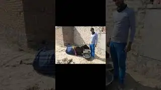 Animal rescue by animal ngo team - 756 | Animal ngo | cow