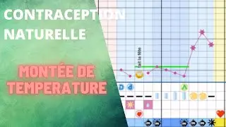 Symptothermie Temperature : qu'est-ce qu'une Belle Mont&eacute;e ?