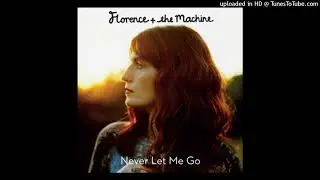 [free] NEVER LET ME GO - Florence and The Machine | SAMPLE / type beat