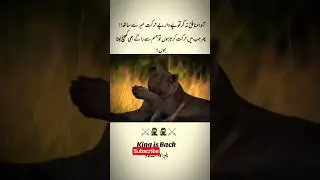 oye munafik na kar | to war pay dar pay | video 56 | #motivation #ghazale #quotes