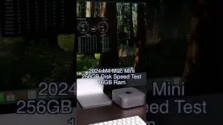 M4 Mac Mini 256GB SSD Disk Speed Test