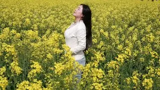 20250504 青年节谈创业 瞄准方向 全速前进