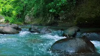 4K-HDR | Soothing Waterscape with Gentle Creek Sounds for Mental Stillness, Sleep and Healing Rest