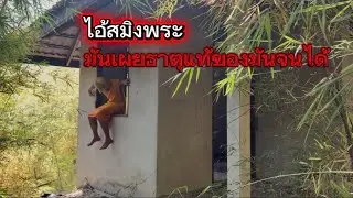 ในที่สุดมันก็เผยธาตุแท้ของมันจนได้!จริงๆแล้วมันเป็นสมิงพระที่รอคนที่หลุดเข้ามาในที่ตรงนี้!!