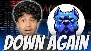 $DOGINME IS DOWN AGAIN... IS IT OVER FOR DOGINME?!
