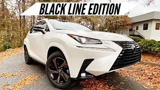 2020 Lexus NX300 Black Line Edition Walkaround / Interior Features