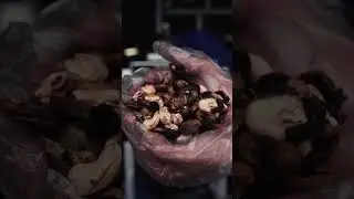 Cashew Cutting Machine 6 Knives Exposed &ndash; You Won&rsquo;t Believe the Speed!