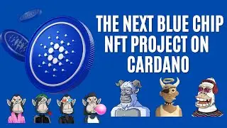 The Next Blue Chip NFT Project on Cardano