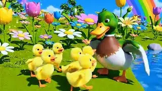 Five Little Ducks Song For Kids | 3D Animated Nursery Rhymes | Kids Songs & Rhymes