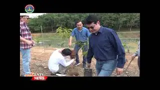 Chamber of commerce&rsquo;s vice president supports forest cover goal through Tree-Planting Initiative
