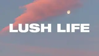 Lush Life - Zara Larsson (Cover Lyrics Video) | The Otherdays