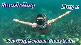 Banana Reef Snorkeling | John Pennekamp Coral Reef State Park | Key Largo | GoPro HD