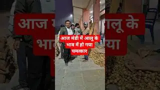 Today a miracle happened in the price of potatoes in the market, Thathiya Mandi, Kannauj, 15 Dece...