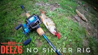 Revo Deez6 K.T.F. Finesse custom  &ldquo;No sinker rig&rdquo; EFF EP.8